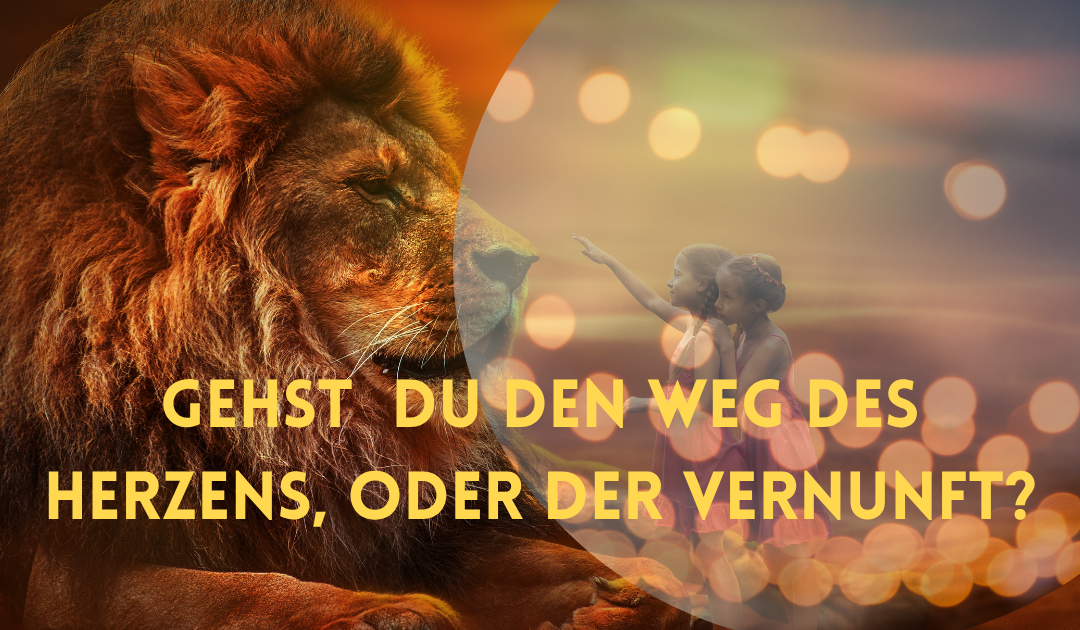 Neumond, Neuausrichtung, Neubeginn