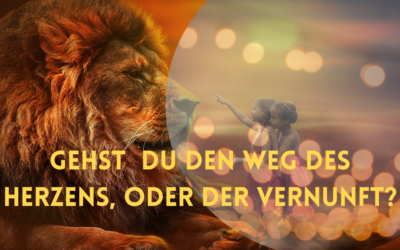 Neumond, Neuausrichtung, Neubeginn